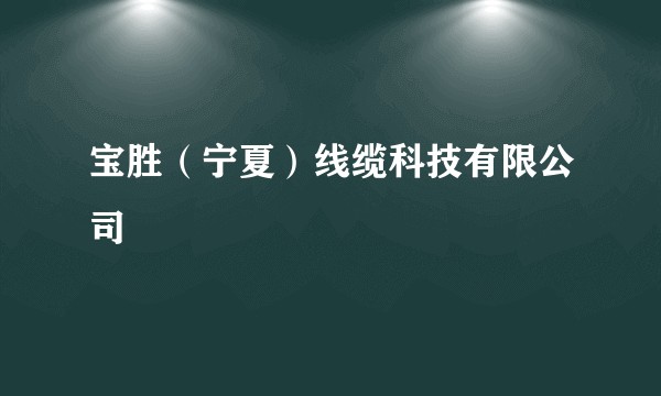 宝胜（宁夏）线缆科技有限公司