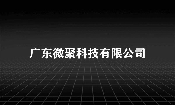 广东微聚科技有限公司
