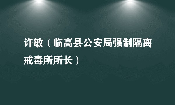 许敏（临高县公安局强制隔离戒毒所所长）