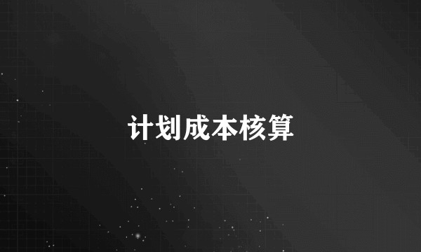 计划成本核算