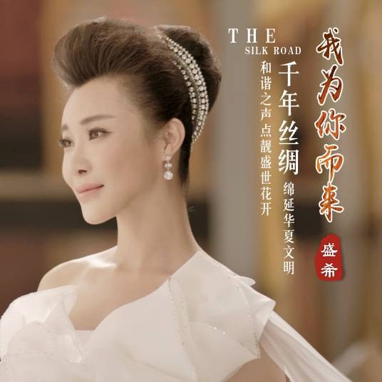 我为你而来（盛希演唱的歌曲）