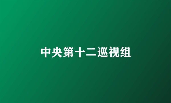 中央第十二巡视组
