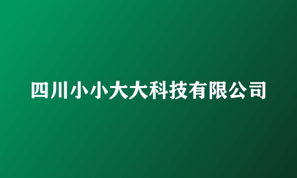 四川小小大大科技有限公司