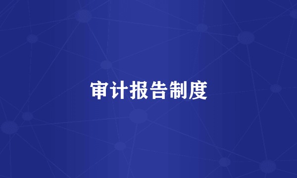 审计报告制度