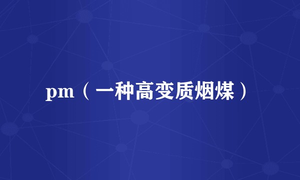 pm（一种高变质烟煤）