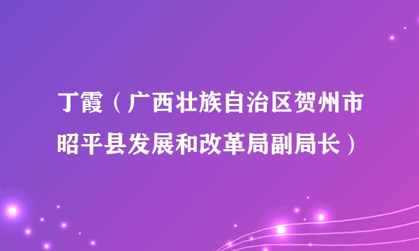 丁霞（广西壮族自治区贺州市昭平县发展和改革局副局长）