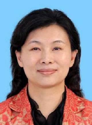 郭子平（深圳市发改委党组书记、主任，市推进粤港澳大湾区建设领导小组办公室主任，市医疗器械产业创新链党委书记）