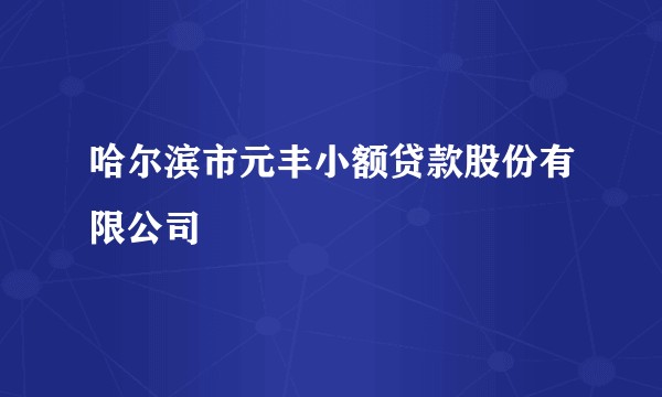 哈尔滨市元丰小额贷款股份有限公司