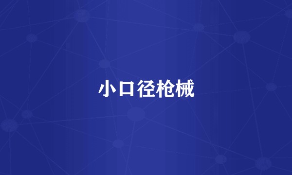 小口径枪械