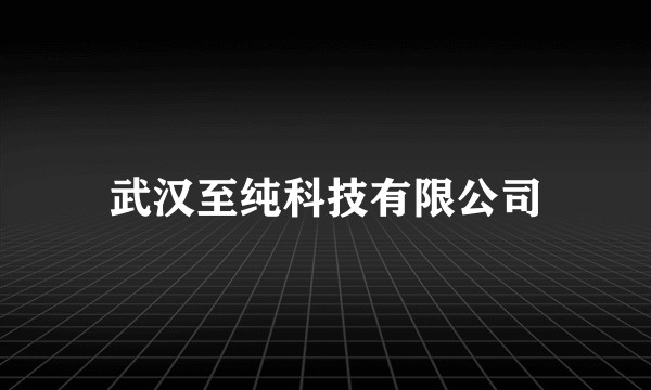 武汉至纯科技有限公司