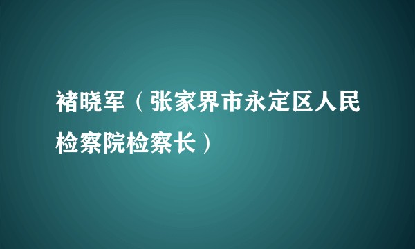 褚晓军（张家界市永定区人民检察院检察长）