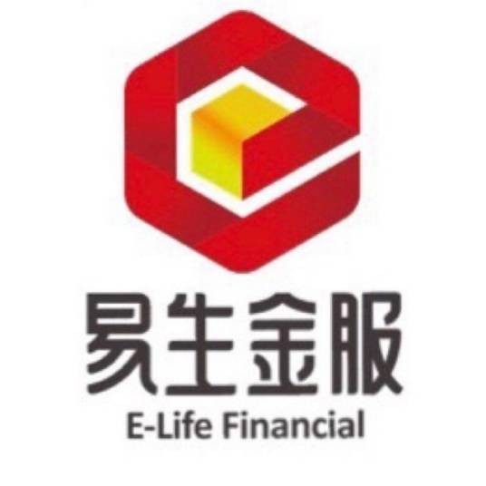 易生金服控股集团有限公司