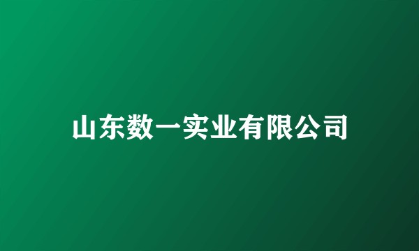 山东数一实业有限公司