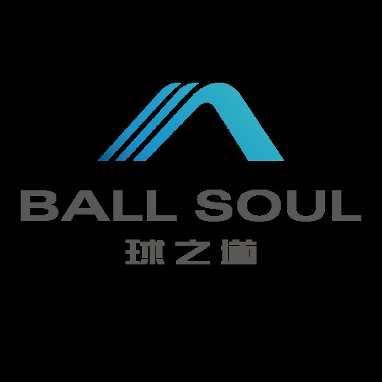 武汉球之道科技有限公司