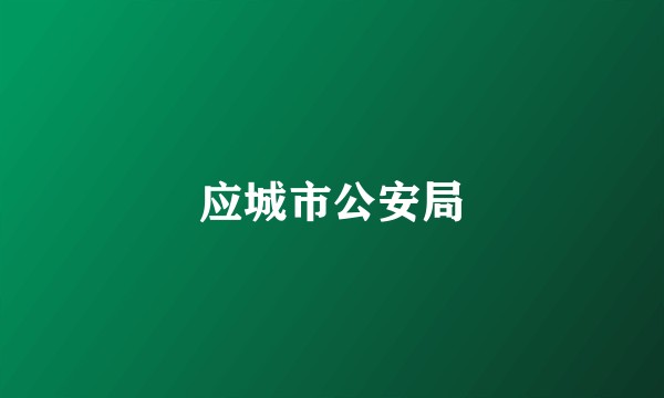 应城市公安局