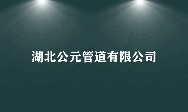 湖北公元管道有限公司