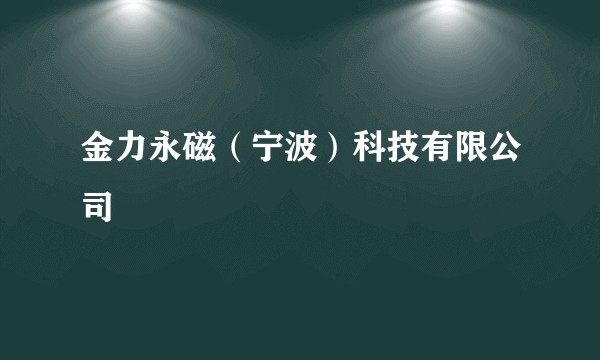 金力永磁（宁波）科技有限公司