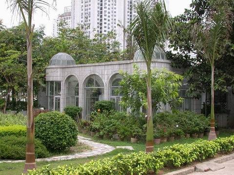 深圳市石厦中学