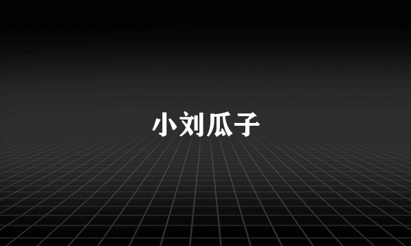 小刘瓜子
