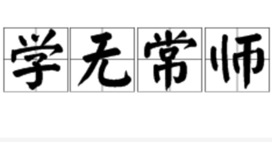 学无常师