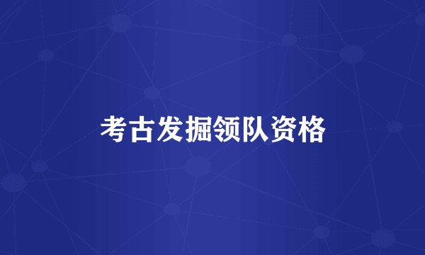 考古发掘领队资格