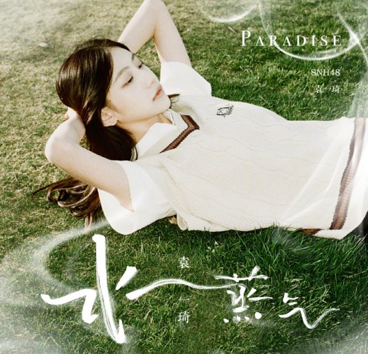 水蒸气（袁一琦演唱歌曲）