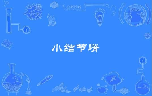 小结节嵴