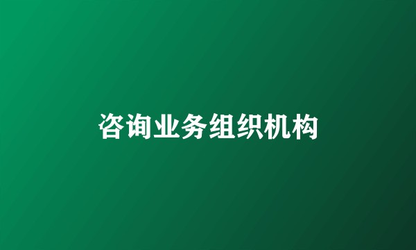 咨询业务组织机构