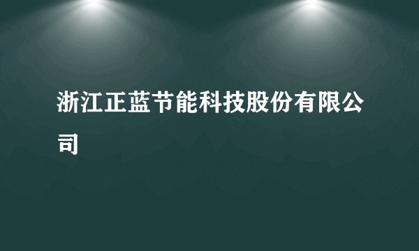 浙江正蓝节能科技股份有限公司