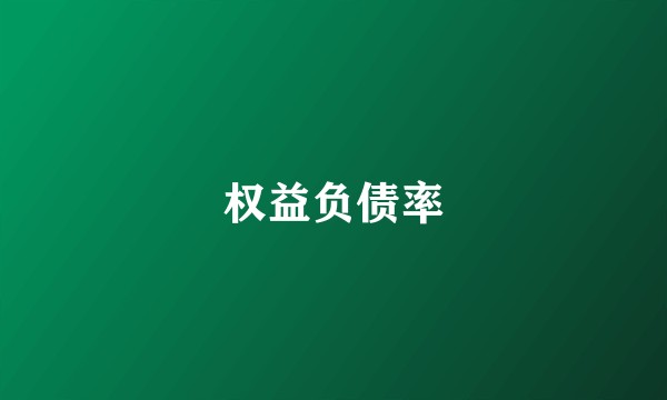 权益负债率