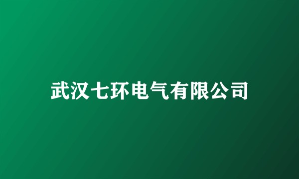 武汉七环电气有限公司