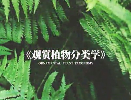 观赏植物分类学(西南大学建设的慕课)