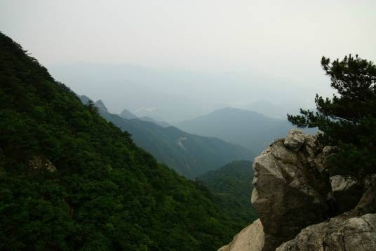 长江河村