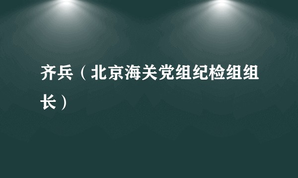 齐兵（北京海关党组纪检组组长）