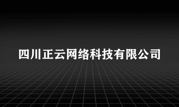 四川正云网络科技有限公司