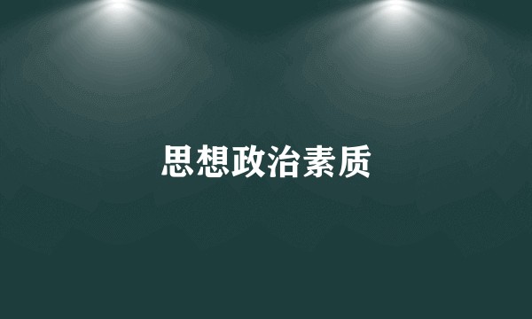 思想政治素质