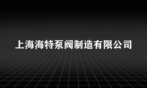 上海海特泵阀制造有限公司