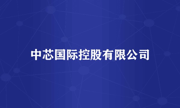 中芯国际控股有限公司