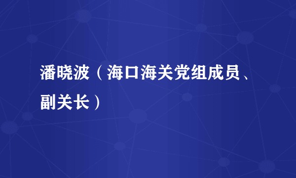 潘晓波（海口海关党组成员、副关长）