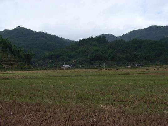 麻栎树自然村（云南省保山市腾冲市五合乡丙弄村民委员会辖自然村）