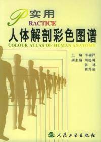 实用人体解剖彩色图谱