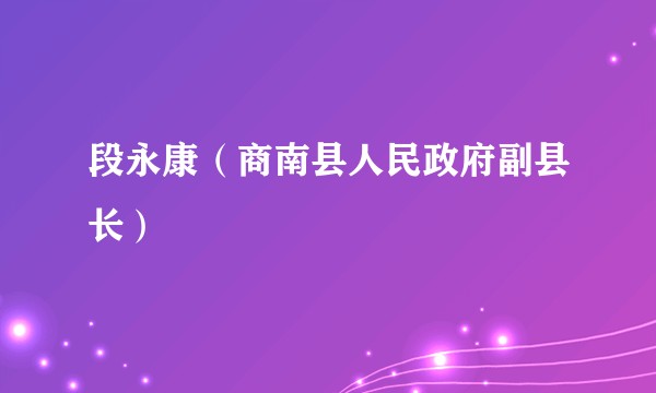 段永康（商南县人民政府副县长）