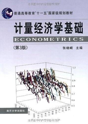 计量经济学基础（2007年南开大学出版社出版的图书）