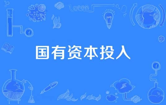 国有资本投入