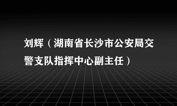 刘辉（湖南省长沙市公安局交警支队指挥中心副主任）