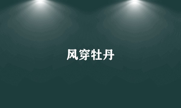 风穿牡丹
