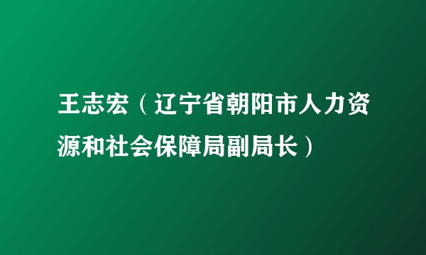 王志宏（辽宁省朝阳市人力资源和社会保障局副局长）