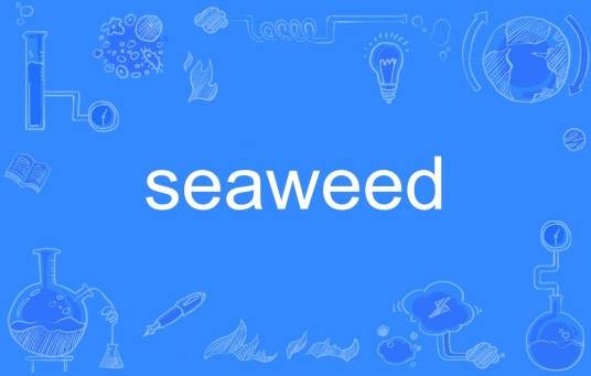 seaweed