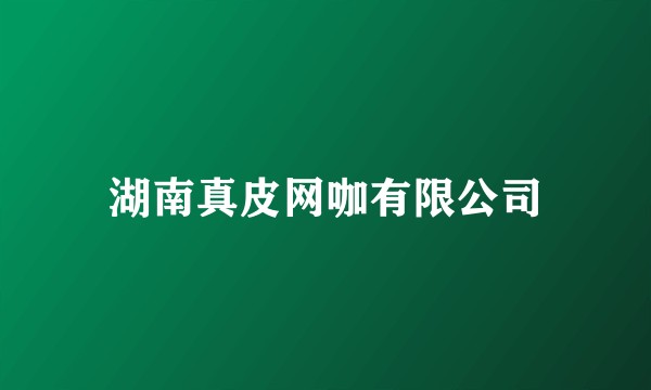 湖南真皮网咖有限公司
