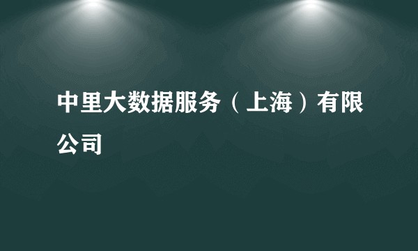 中里大数据服务（上海）有限公司
